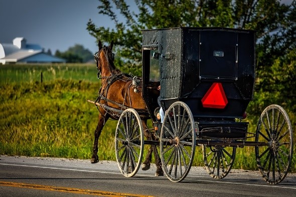 A horse carriage with a red stop sign on the back