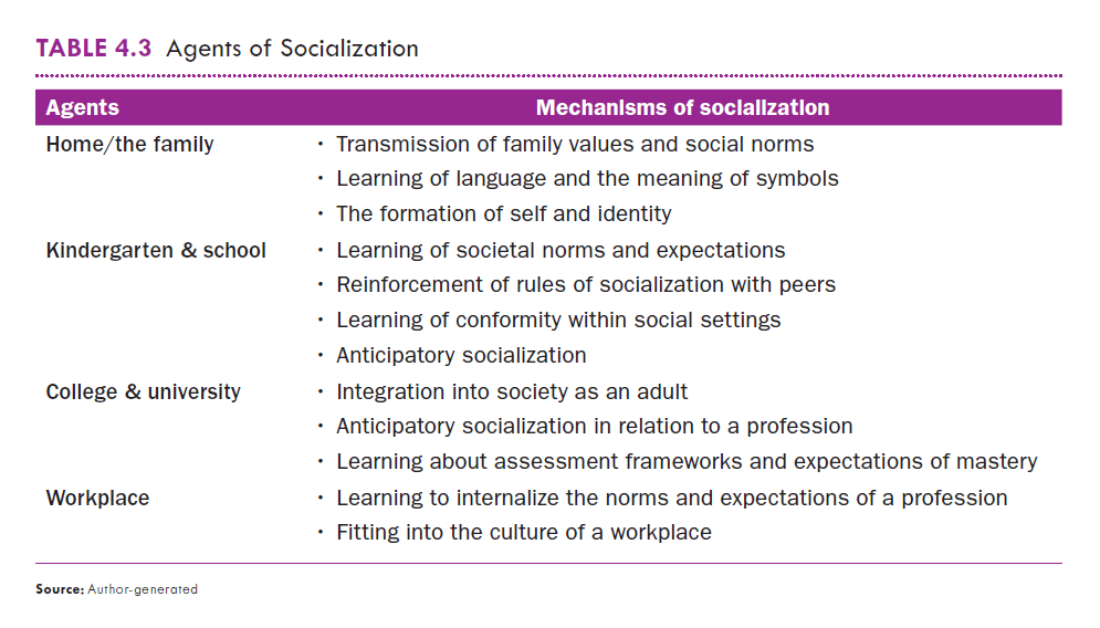 table highlighting agents of Socialization